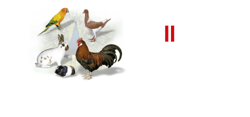 Landesverband der Rassekleintierzüchter Oberösterreich